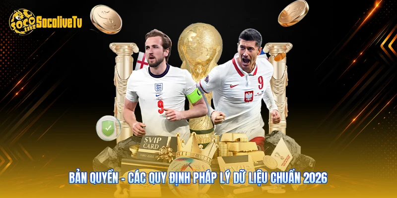 Bản Quyền - Các Quy Định Pháp Lý Dữ Liệu Chuẩn 2026