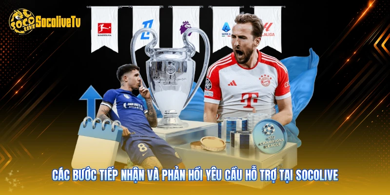 Liên Hệ Socolive - Hỗ Trợ Kỹ Thuật Nhanh Trong 5 Phút 4 Các bước tiếp nhận và phản hồi yêu cầu hỗ trợ tại Socolive