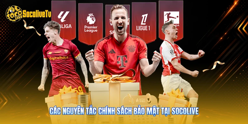 Các nguyên tắc chính sách bảo mật tại Socolive 