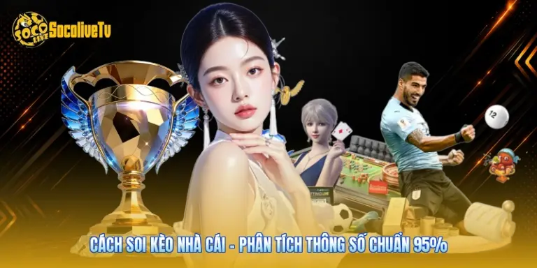 Cách Soi Kèo Nhà Cái - Phân Tích Thông Số Chuẩn 95%