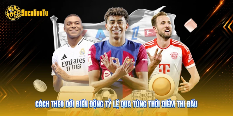 Cách theo dõi biến động tỷ lệ qua từng thời điểm thi đấu