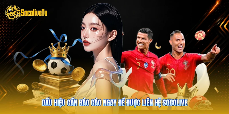 Liên Hệ Socolive - Hỗ Trợ Kỹ Thuật Nhanh Trong 5 Phút 2 Dấu hiệu cần báo cáo ngay để được liên hệ Socolive