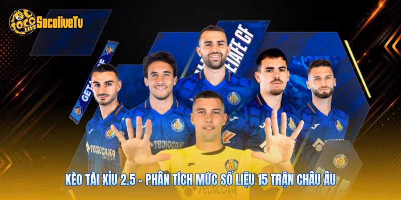 Kèo Tài Xỉu 2.5 – Phân Tích Mức Số Liệu 15 Trận Châu Âu