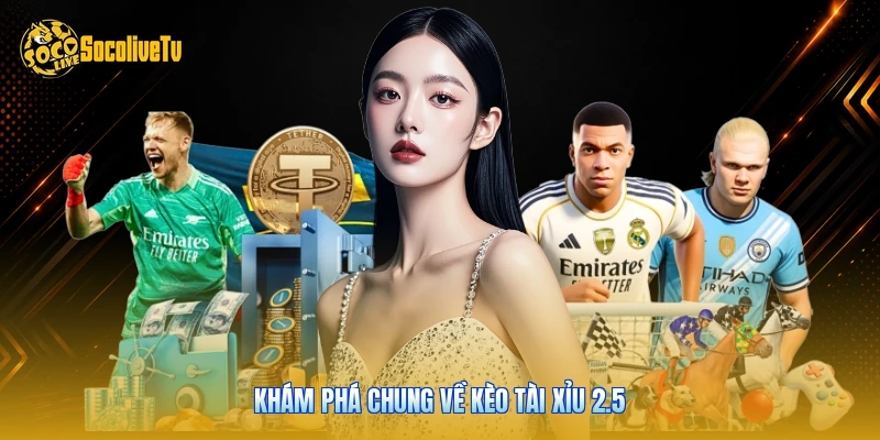 Kèo Tài Xỉu 2.5 - Phân Tích Mức Số Liệu 15 Trận Châu Âu 1 Khám phá chung về kèo tài xỉu 2.5