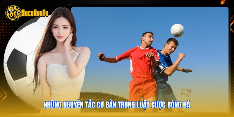 Luật Cược Bóng Đá - Toàn Bộ Quy Tắc Áp Dụng Cho 48h Tới 1 Những nguyên tắc cơ bản trong luật cược bóng đá
