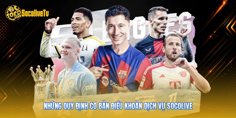 Những quy định cơ bản điều khoản dịch vụ Socolive 