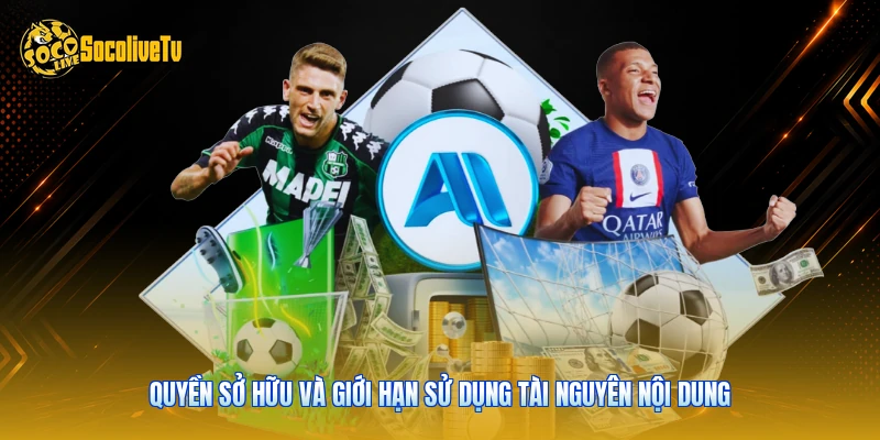 Bản Quyền - Các Quy Định Pháp Lý Dữ Liệu Chuẩn 2026 3 Quyền sở hữu và giới hạn sử dụng tài nguyên nội dung