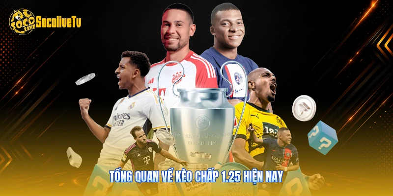 Kèo Chấp 1.25 - Cập Nhật Thông Tin Mới Nhất 2026 Hiện Nay 1 Tổng quan về kèo chấp 1.25 hiện nay